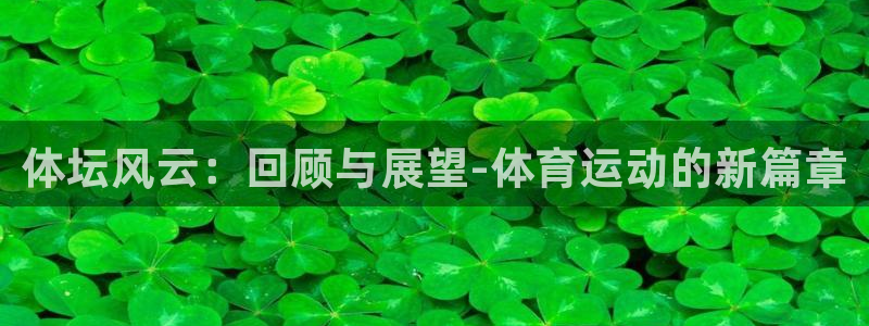 米兰体育官网下载平台注册流程图:体坛风云:回顾与展望-体育运