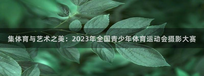 米兰体育官方正版app娱乐网站:集体育与艺术之美:2023年